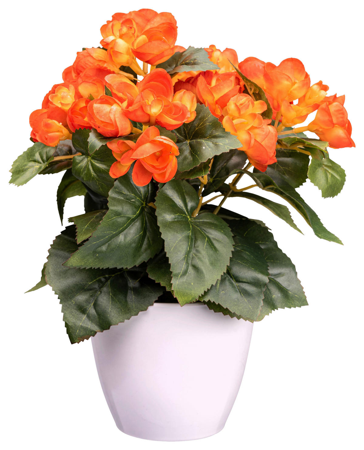 KUNSTPFLANZE 28 cm  - Orange/Weiß, Design, Kunststoff (28cm) - P & B