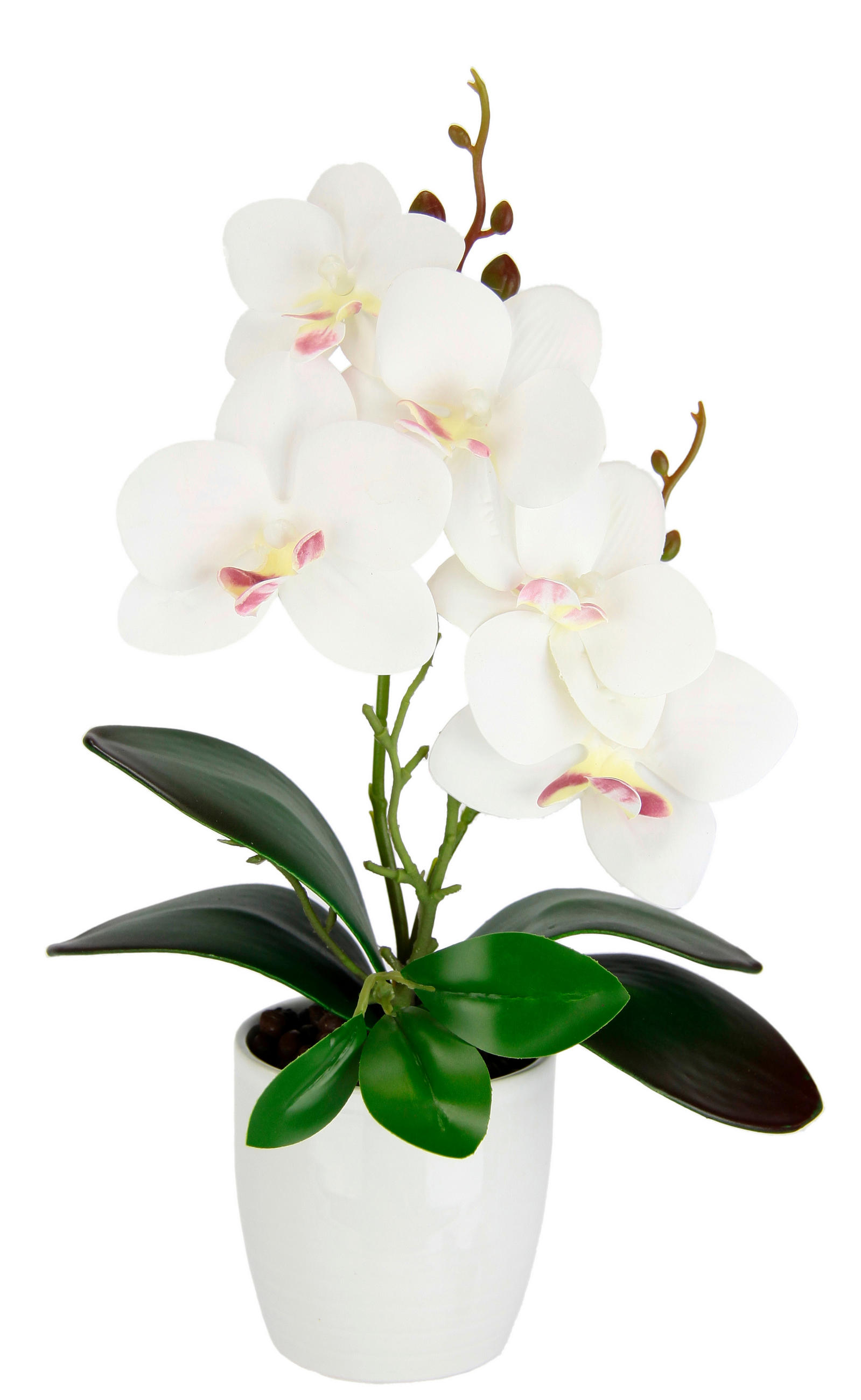 ORCHIDEE  - Weiß, Basics, Keramik/Kunststoff (19/28/11cm)