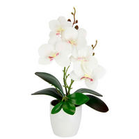 ORCHIDEE  - Weiß, Basics, Keramik/Kunststoff (19/28/11cm)