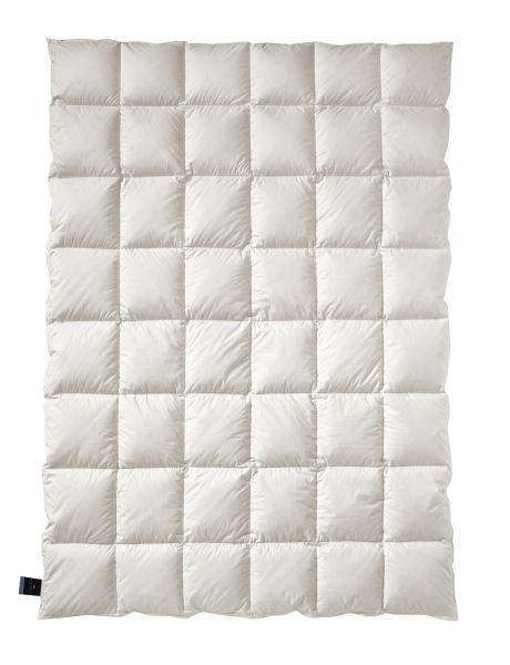 WINTERBETT  Elegance Duo  135/200 cm   - Champagner, Basics, Textil (135/200cm) - Billerbeck