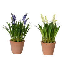 Plantă Artificială - Basics (11,00/11,00/26,00cm)