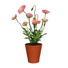 KUNSTBLUME Mohn - Rosa/Grün, Trend, Kunststoff (38cm) KUNSTBLUME Mohn - Rosa/Grün, Trend, Kunststoff (38cm)