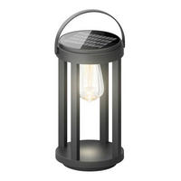 SOLÁRNE SVIETIDLO, 16/15/35,6 cm - priehľadné/čierna, Basics, kov/plast (16/15/35,6cm) - Ambia Garden