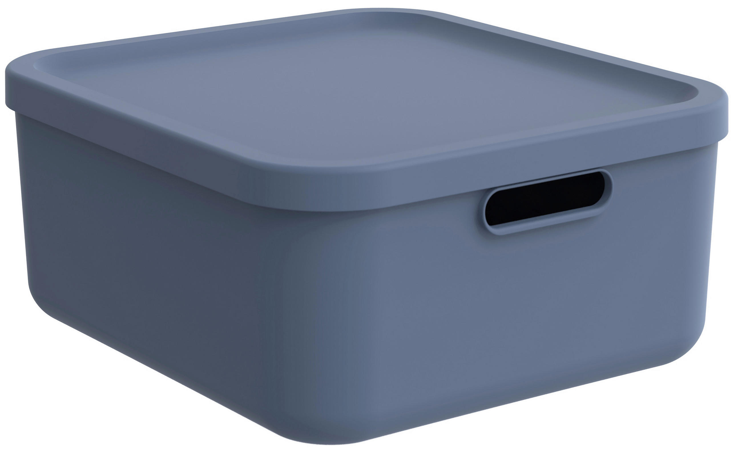 BOX S VÍKEM 20 l - pastelově modrá, Konvenční, plast (39,5/35,5/34,6cm) - Rotho