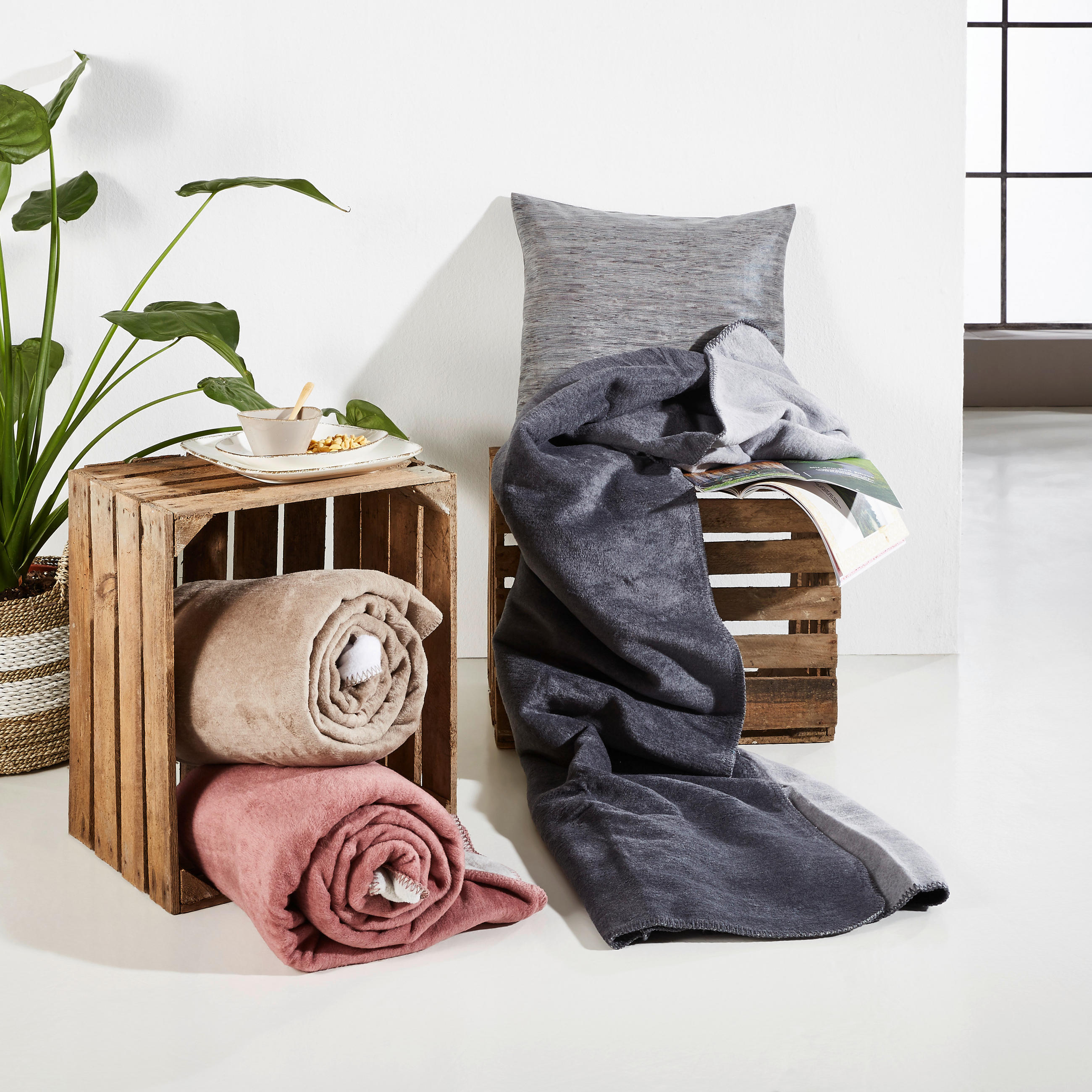 PLÉD 150/200 cm  - natúr színű/fehér, Basics, textil (150/200cm) - Novel