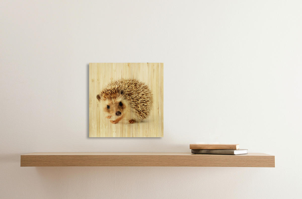 BABYWANDDEKO - Multicolor, Basics, Holz (30/30/3cm)