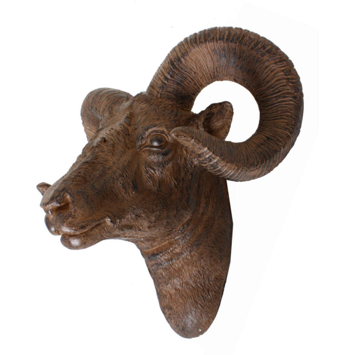 DEKOKOPF  - Braun, Basics, Kunststoff (49/30/45,6cm)