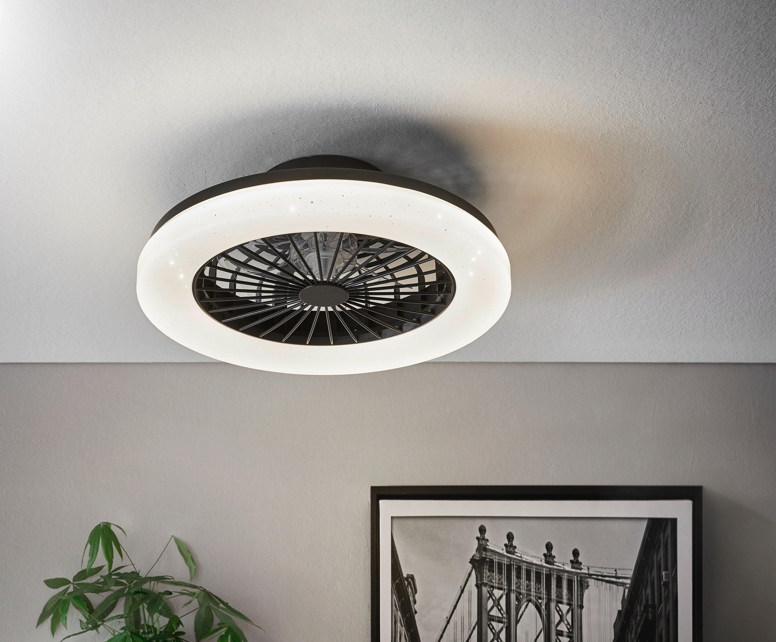 Deckenleuchte mit Ventilator 48,5/14 cm   - Transparent/Schwarz, Trend, Kunststoff (48,5/14cm) - Mican