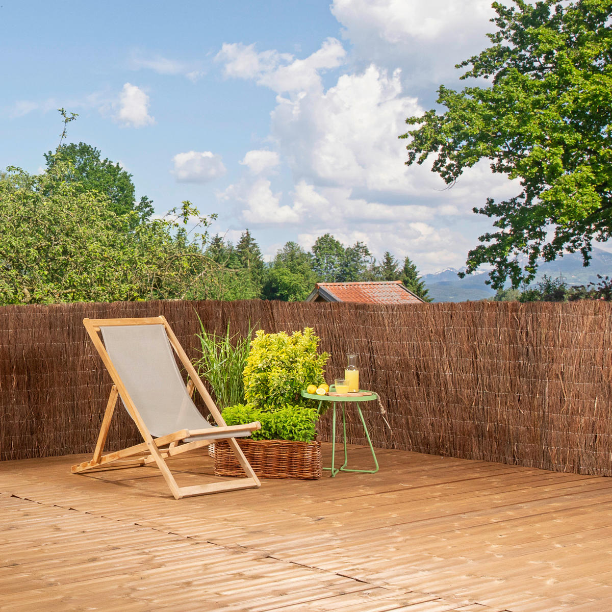 SICHTSCHUTZ - Naturfarben, Basics, Naturmaterialien (300/100cm)