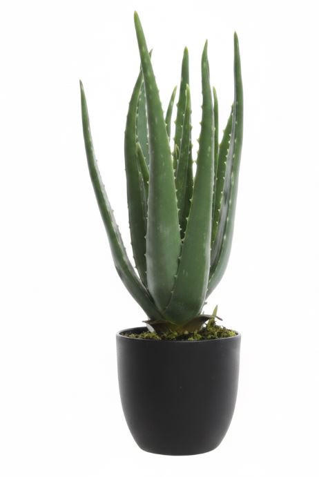 UMETNA RASTLINA        25/35 cm       - črna/zelena, Basics, kamen/kovina (25/35cm) - Ambia Home