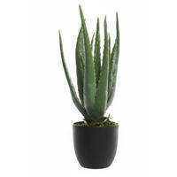 UMETNA RASTLINA        25/35 cm       - črna/zelena, Basics, kamen/kovina (25/35cm) - Ambia Home