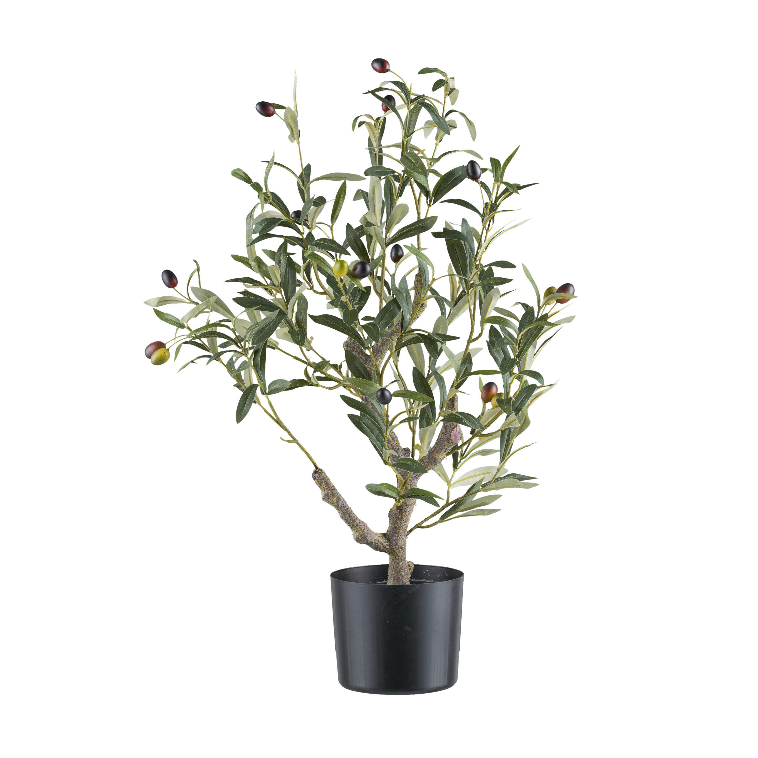 KUNSTPFLANZE Olive 70 cm  - Schwarz/Braun, Design, Kunststoff (70cm) - P & B