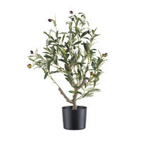 KUNSTPFLANZE Olive 70 cm  - Schwarz/Braun, Design, Kunststoff (70cm) - P & B