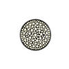 LED-DECKENLEUCHTE 40,5/9 cm   - Schwarz, Basics, Kunststoff (40,5/9cm) - Novel