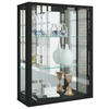HÄNGEVITRINE in Buche Schwarz  - Schwarz, MODERN, Glas/Holz (60/80/25cm) - MID.YOU