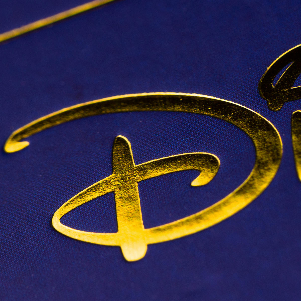 BUCH   Dunkelblau  - Dunkelblau, Basics (23.9/31.7/3.2cm) - Disney