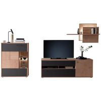 OBÝVACIA STENA, antracitová, dub bianco - čierna/antracitová, Design, kov/drevo (328/193/50cm) - MID.YOU