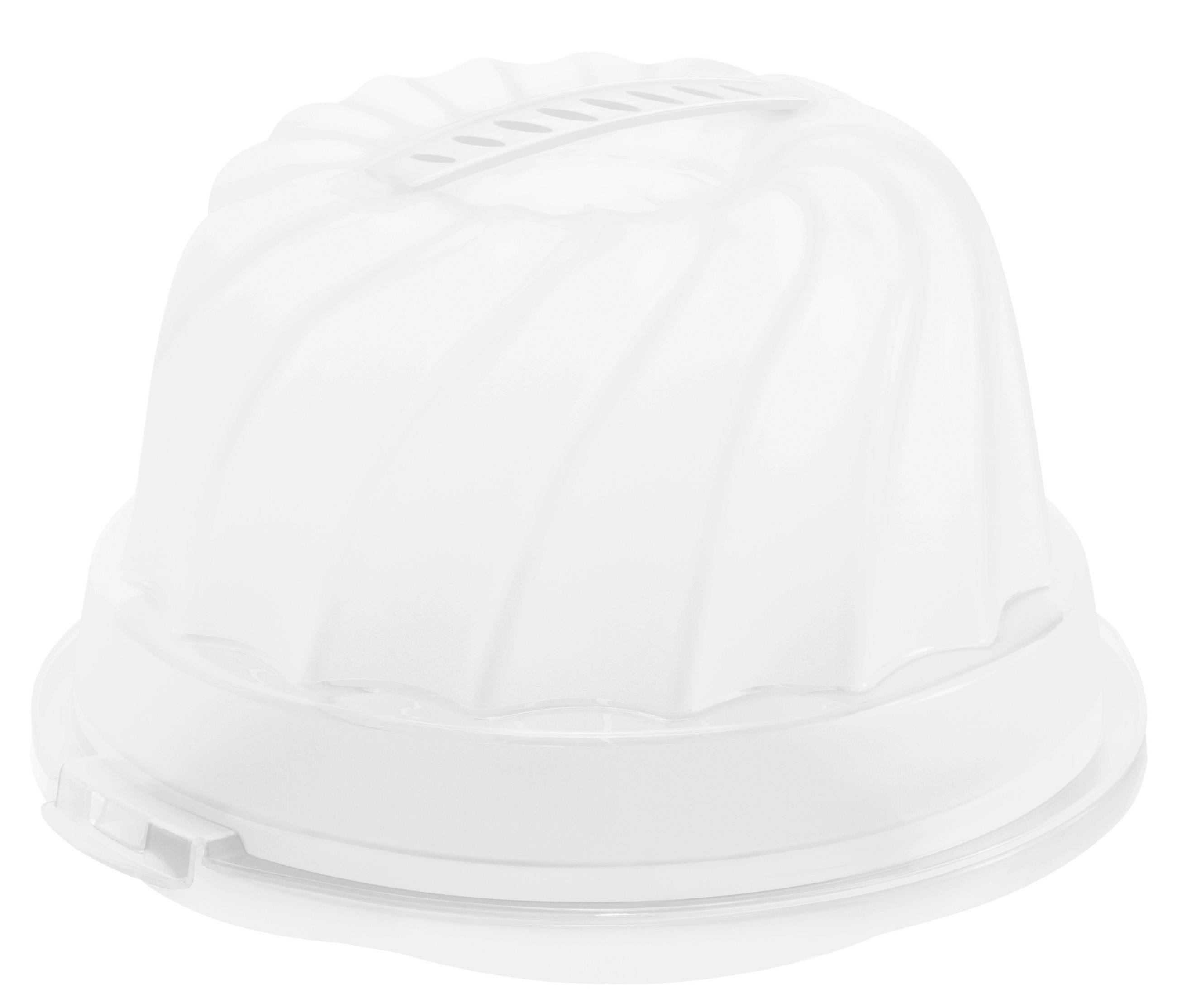 POKLOP NA DORT, 30,5/28,5/17,5 cm - modrá/světle zelená, Basics, plast (30,5/28,5/17,5cm) - Rotho