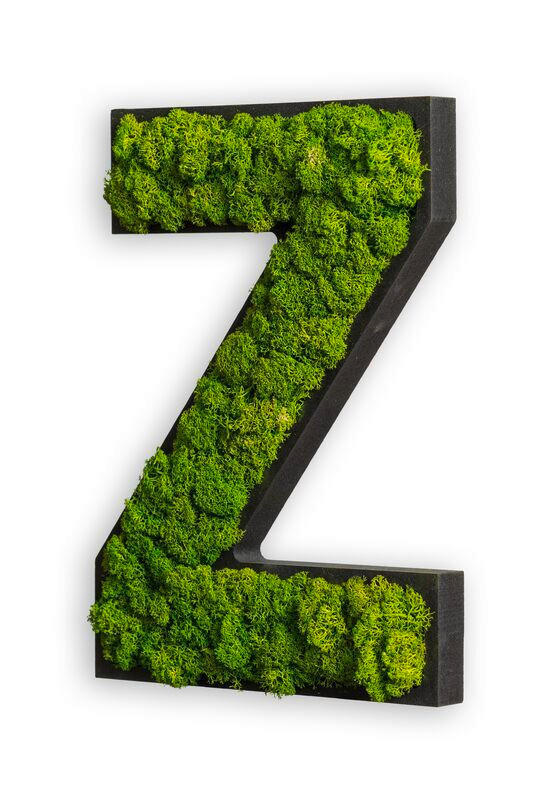 StyleGREEN MECHOVÝ OBRAZ