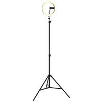 LED-STEHLEUCHTE Delgado 63/210 cm  - Opal/Schwarz, Design, Kunststoff/Metall (63/210cm) - Globo