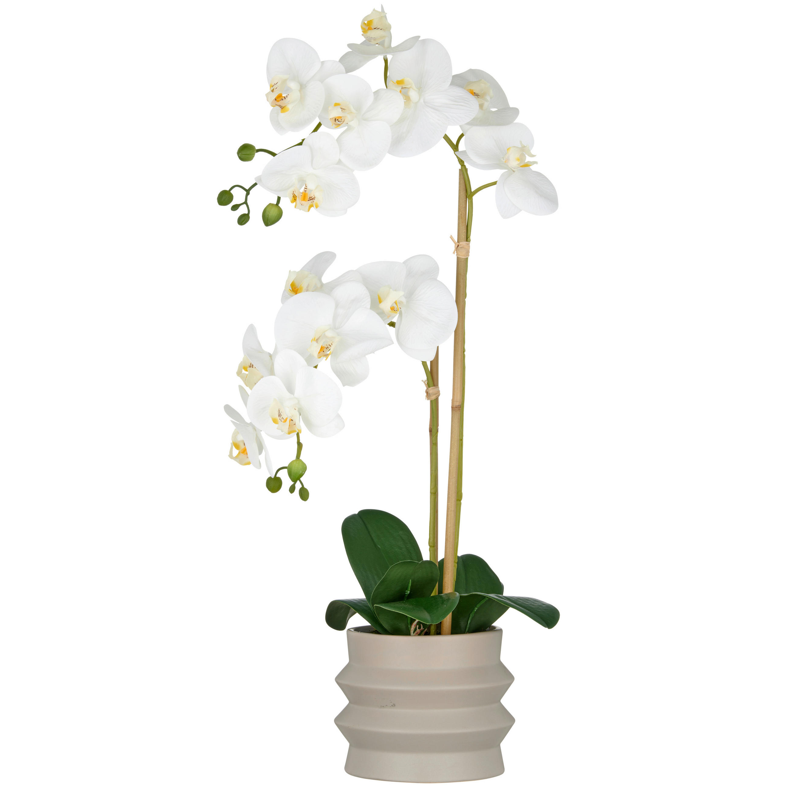 KUNSTPFLANZE Orchidee  - Sandfarben/Greige, Basics, Keramik/Kunststoff (19/56/19cm) - P & B