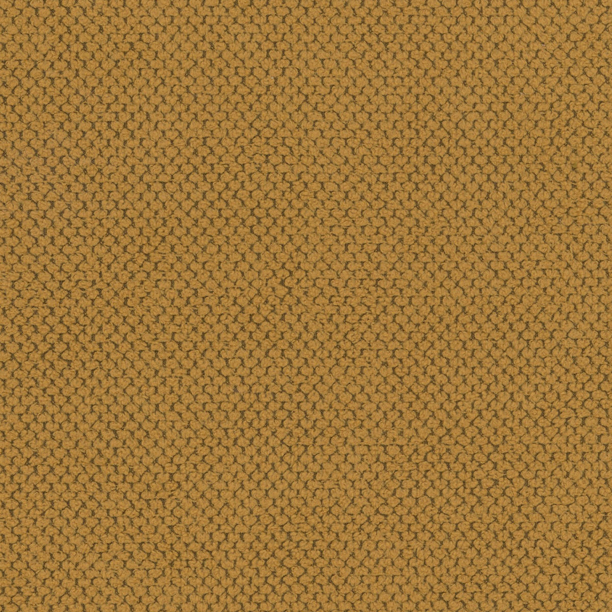 BOXBETT 200/200 cm  in Senfgelb  - Senfgelb/Schwarz, KONVENTIONELL, Kunststoff/Textil (200/200cm) - Carryhome