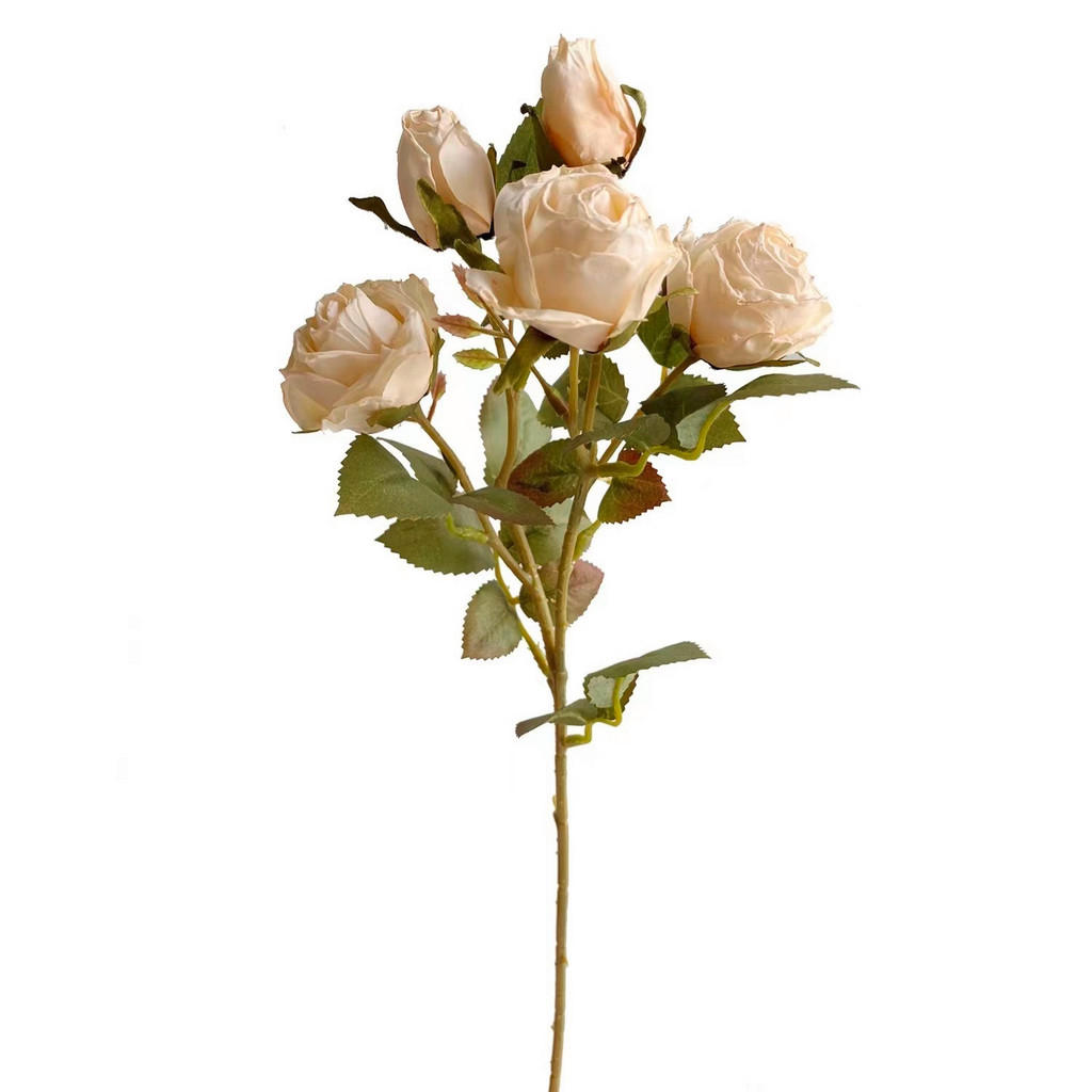 RUŽA 43 cm - krémová