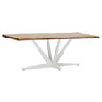 TISCHPLATTE      - Naturfarben, Design, Holz (220/100/5cm) - Landscape