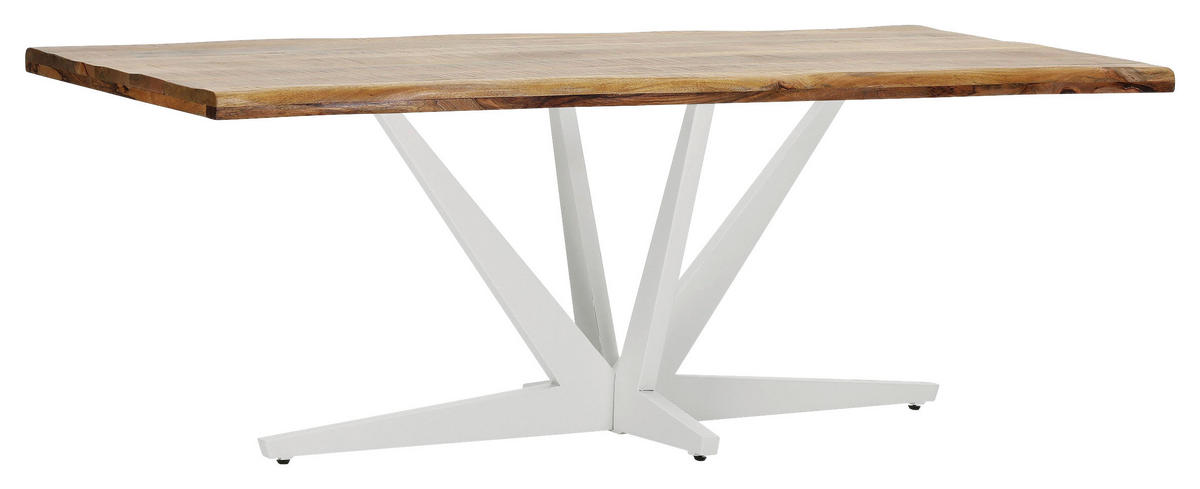 TISCHPLATTE Naturfarben   - Naturfarben, Design, Holz (220/100/5cm) - Landscape