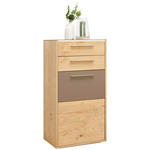 SCHUHSCHRANK 61/120/40 cm  - Chromfarben/Eichefarben, Design, Holz/Holzwerkstoff (61/120/40cm) - Novel