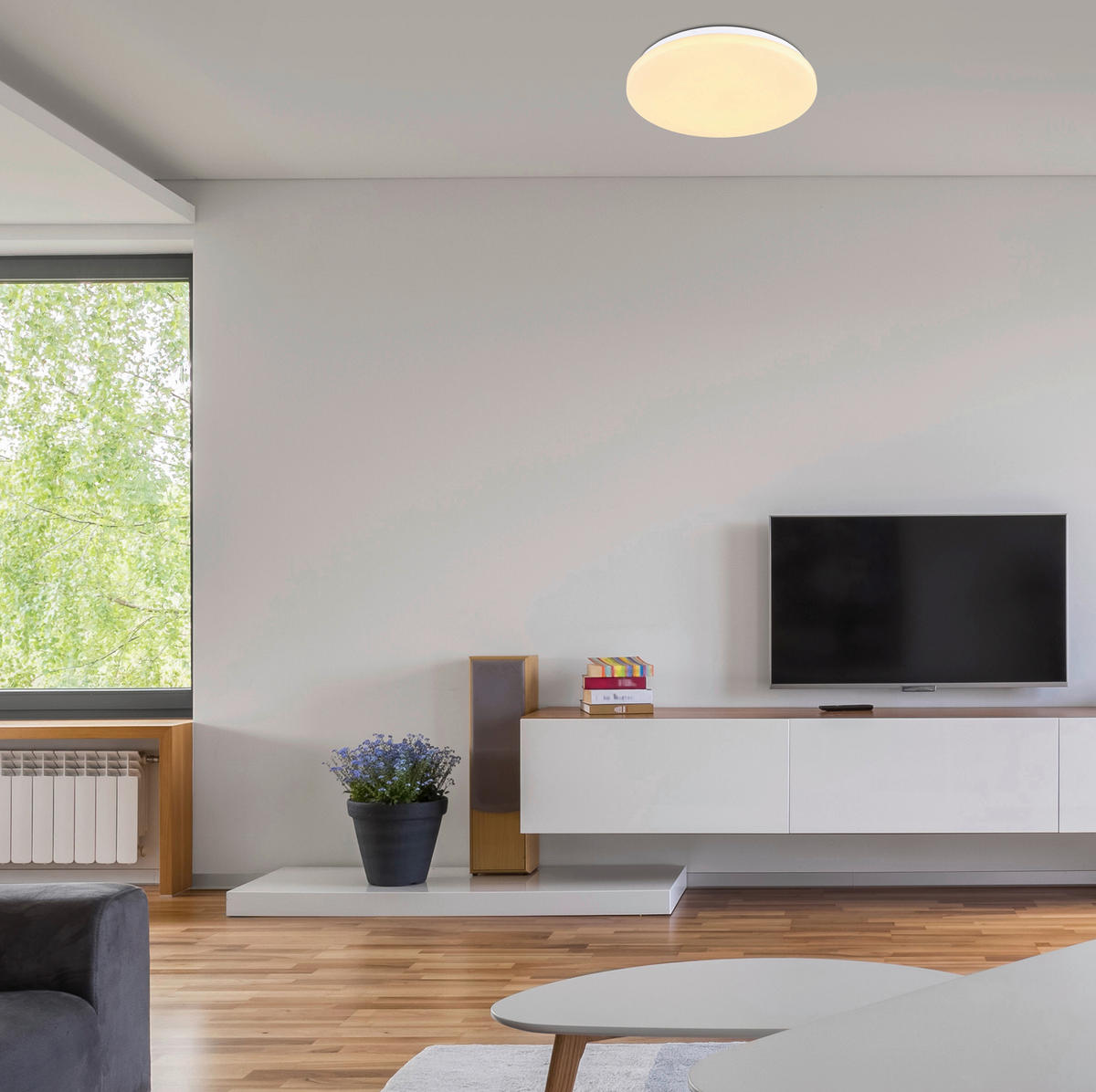 LED PLAFONJERA HUBERT  - bela/opal, Osnovno, metal/plastika (38/5,6cm)