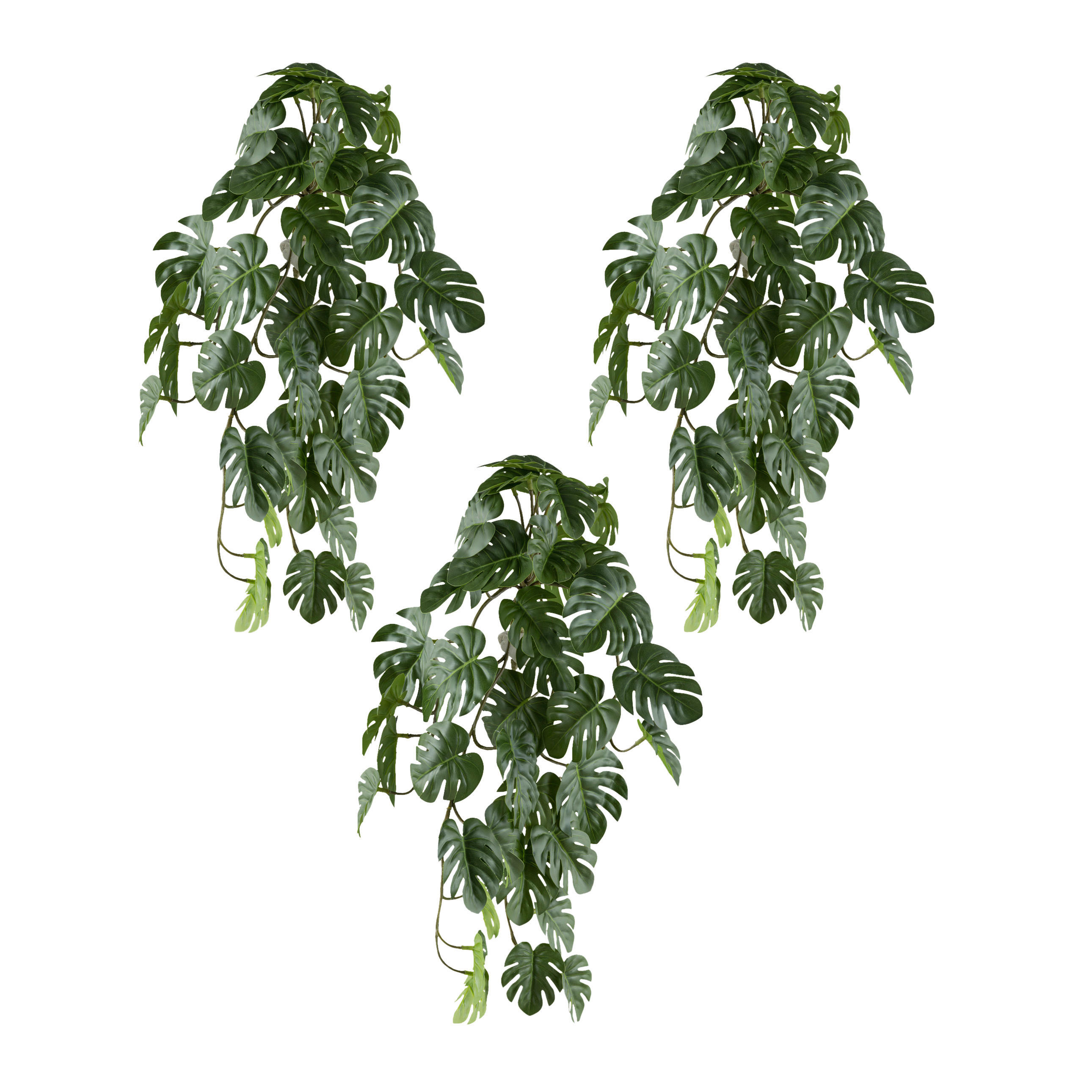 KUNSTPFLANZE Split Philodendron 48 cm  - Grün, Design, Kunststoff (48cm) - P & B