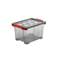 KISTE  - Anthrazit, Basics, Kunststoff (28,3/23,0/39,3cm) - Rotho