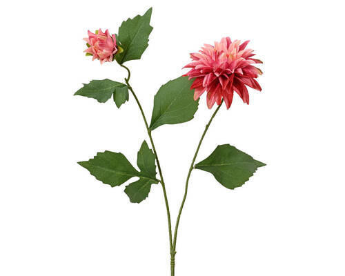 FLOARE DECORATIVĂ - Basics (15/66cm)