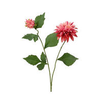 FLOARE DECORATIVĂ - Basics (15/66cm)