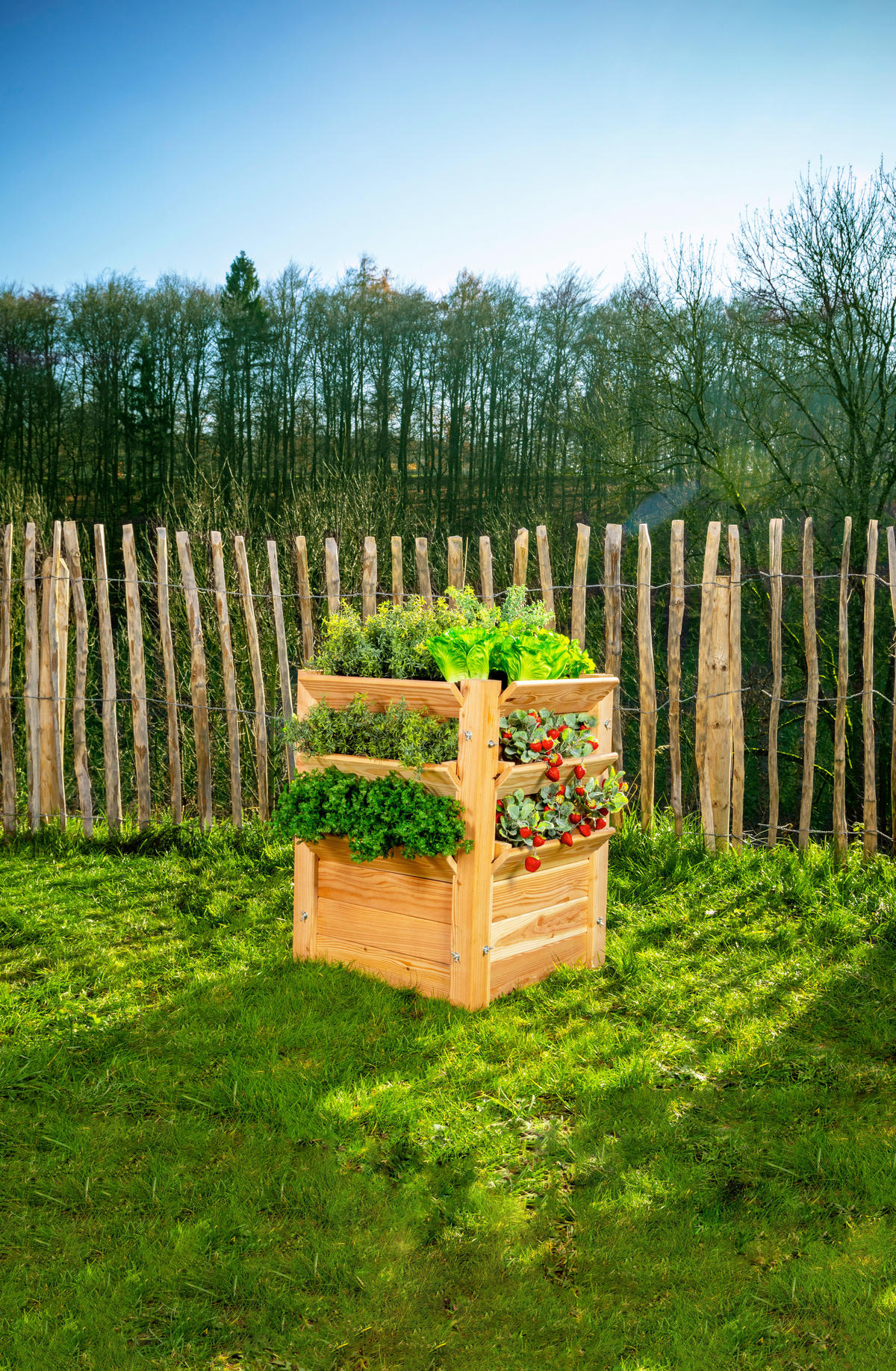 VYVÝŠENÝ ZÁHON   - farba smrekovca, Basics, drevo (65/73/65cm)