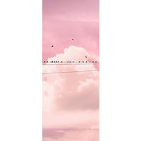 VLIESTAPETE  - Rosa, Basics (100/250cm) - Xora