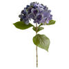 HORTENSIE Hortensie  - Blau/Grün, Basics (60cm)