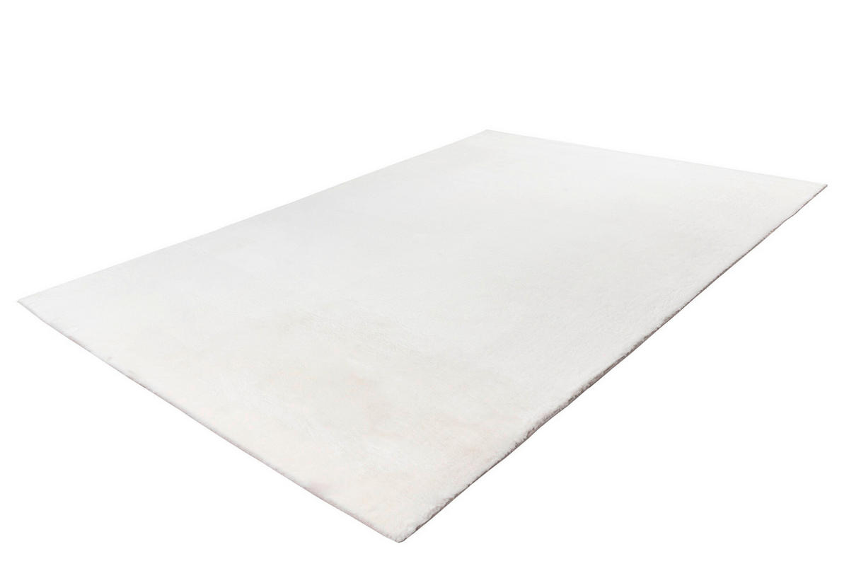 HOCHFLORTEPPICH 120/170 cm Weiß  - Weiß, Basics, Textil (120/170cm) - Kayoom