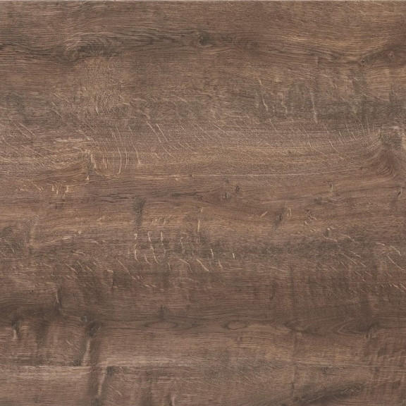 Apl In Stammeiche Nachbildung Apl