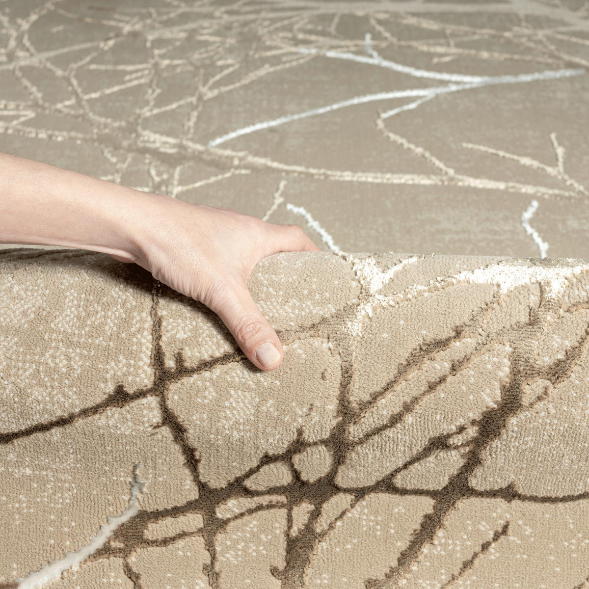 WEBTEPPICH Wohnzimmer 160/230 cm Creation Beige rechteckig  - Beige, Basics, Textil (160/230cm) - Novel
