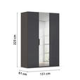 DREHTÜRENSCHRANK 151/223/61 cm,  in Graphitfarben, 3-türig  - Graphitfarben, Basics, Glas/Holzwerkstoff (151/223/61cm) - Novel