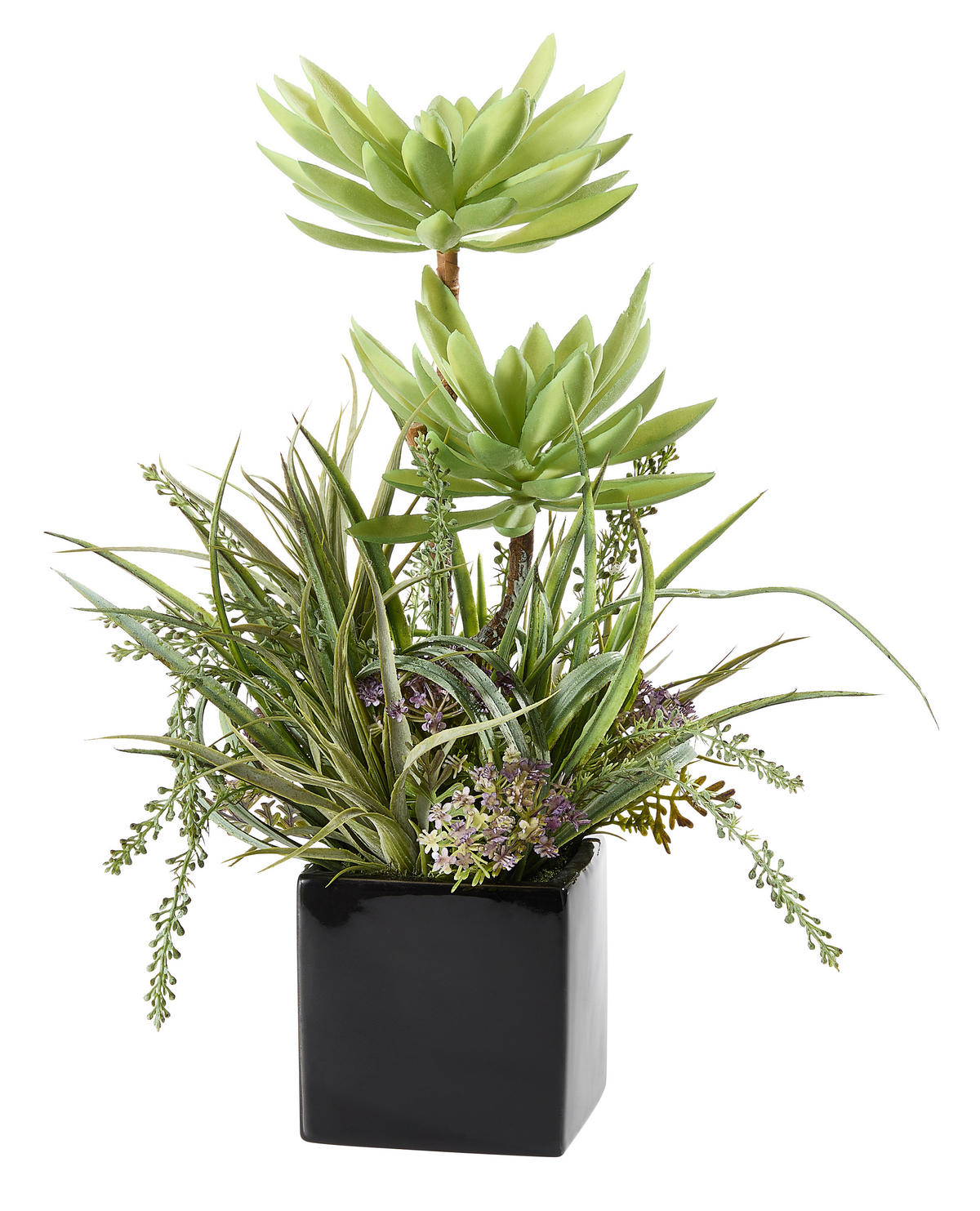 SUKKULENTE  - Grün, Basics (20/38cm)