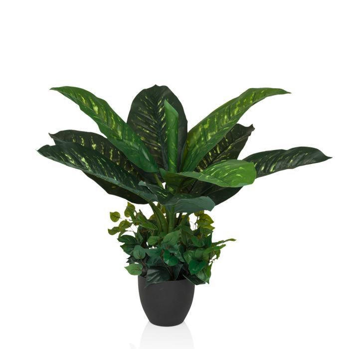 KUNSTPFLANZE Dieffenbachia  - Schwarz/Grün, MODERN, Kunststoff (42/80/33cm) - MID.YOU