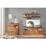 WOHNWAND  in Buchefarben  304/200/53,7 cm  - Edelstahlfarben/Buchefarben, Natur, Glas/Holz (304/200/53,7cm) - Valnatura