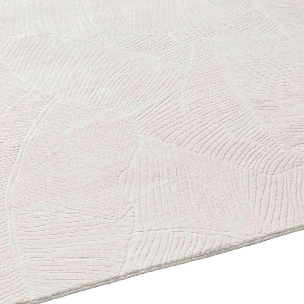 WEBTEPPICH 120/170 cm Homestyle Creme  - Creme, Design, Textil (120/170cm) - Novel