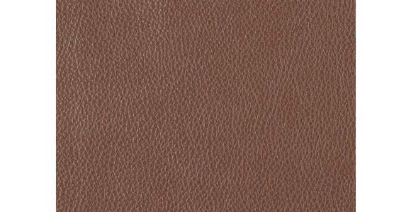 2,5-SITZER  in Echtleder Braun   - Schwarz/Braun, Design, Leder/Metall (200/102/92cm) - Johann Jakob
