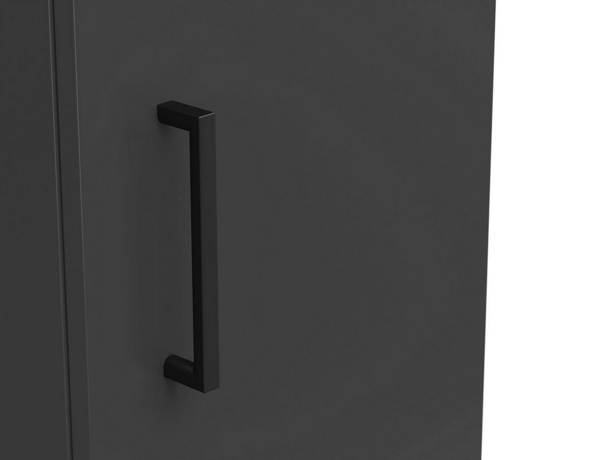 MEHRZWECKSCHRANK 30/195/40 cm  - Schwarz/Graphitfarben, Modern, Holzwerkstoff/Kunststoff (30/195/40cm) - Carryhome
