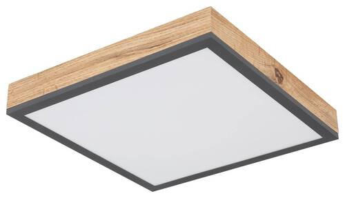 LED PANEL, 30/30 cm  - opál/barvy grafitu, Basics, kov/plast (30/30cm) - Globo