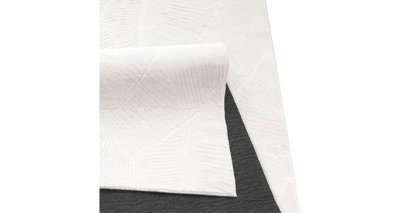 WEBTEPPICH 240/340 cm Homestyle Creme  - Creme, Design, Textil (240/340cm) - Novel
